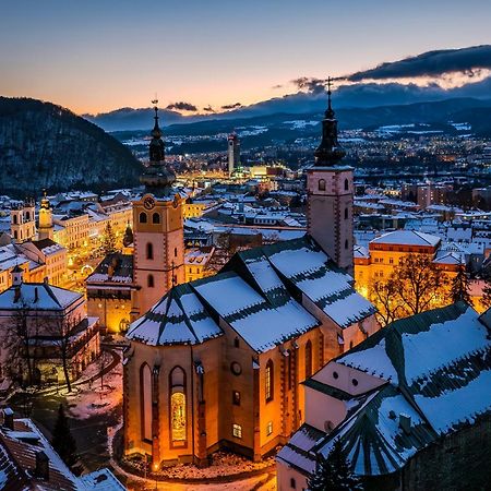 Komfortny Apartman So Zahradou A Sukromnym Parkoviskom-Nonstop Check-In Banska Bystrica Luaran gambar